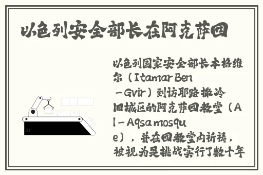 雷电将军被**